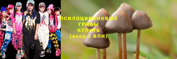 наркотики Богородск