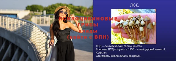 кокс Богданович
