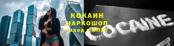 тгк Богородицк