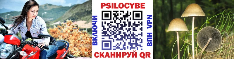 закладка  Миасс  mega ТОР  Псилоцибиновые грибы мицелий 